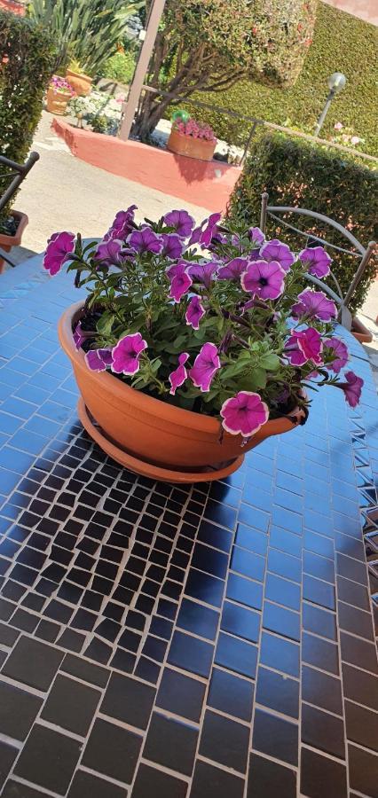 פיידימונטה אטנאו Villa Laura מראה חיצוני תמונה